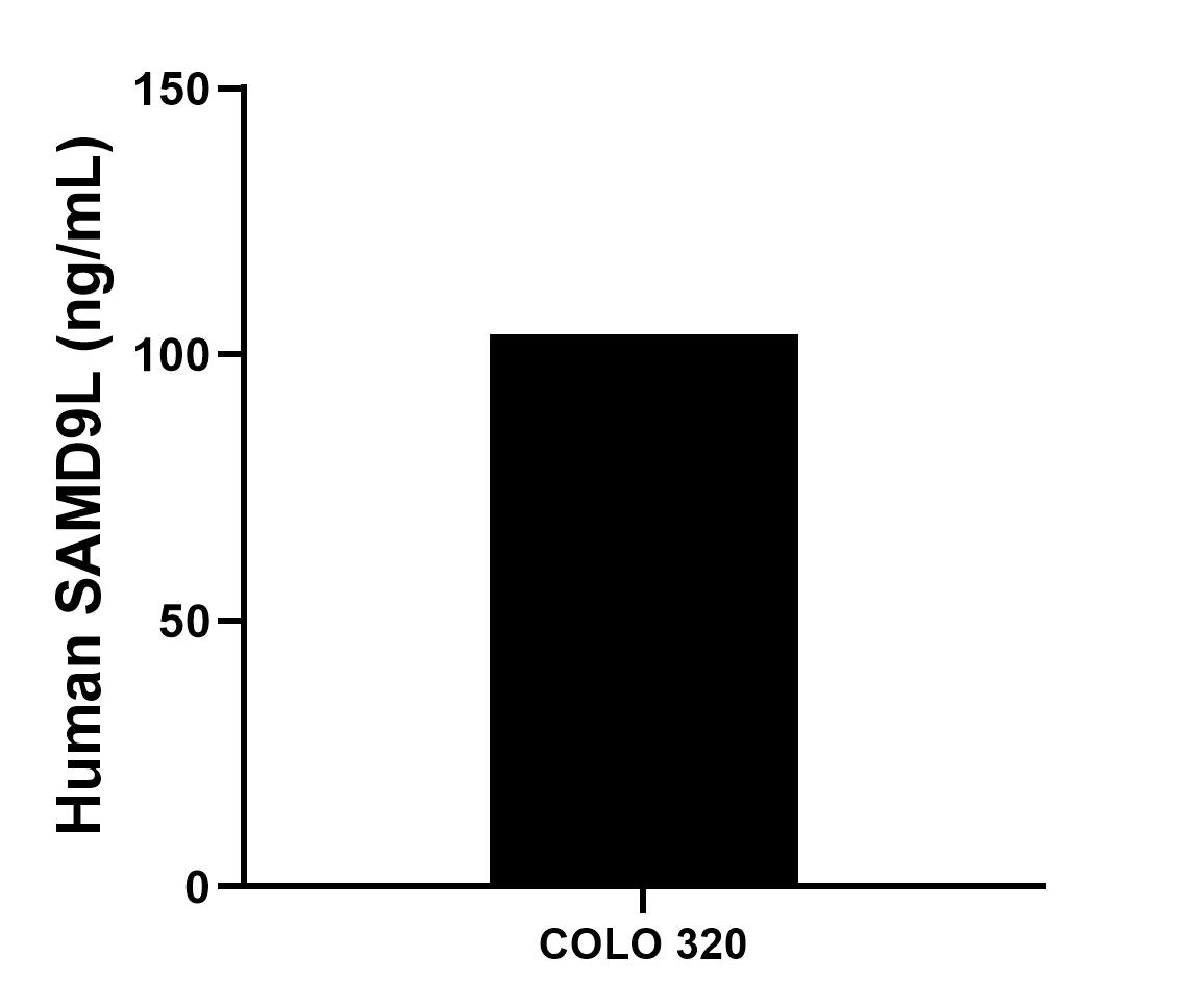 Sample test of MP01024-4